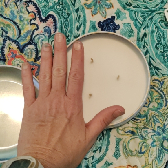 Round three wick grapefruit and honey candle - Picture 3 of 5